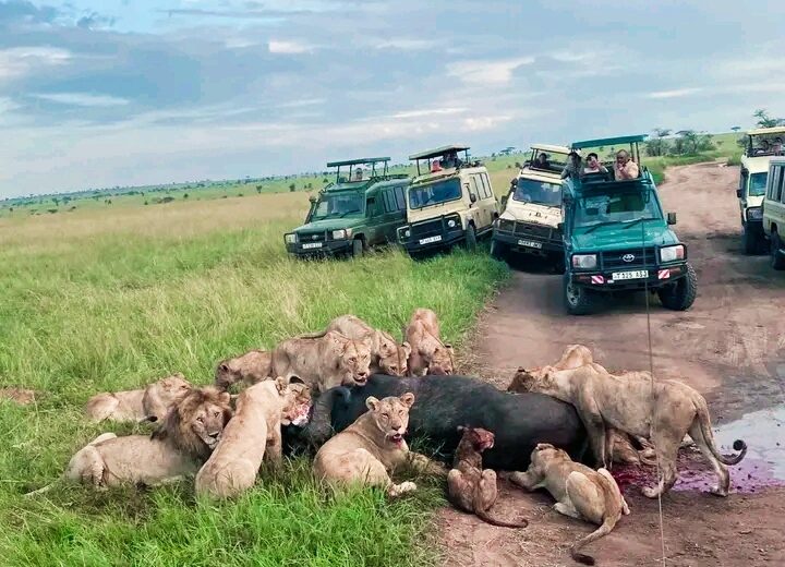 Mid-Range 17-Days Tanzania Safari & Zanzibar