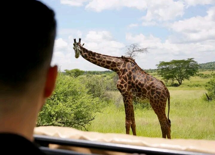 13-Days Midrange Tanzania Safari& Zanzibar Excursion